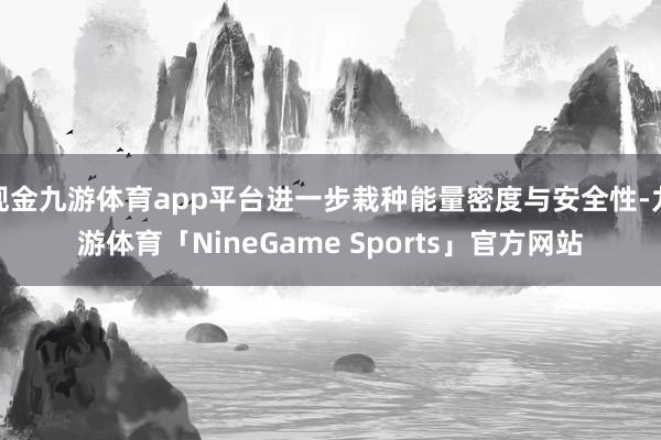 现金九游体育app平台进一步栽种能量密度与安全性-九游体育「NineGame Sports」官方网站