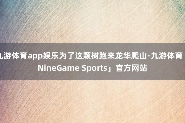 九游体育app娱乐为了这颗树跑来龙华爬山-九游体育「NineGame Sports」官方网站