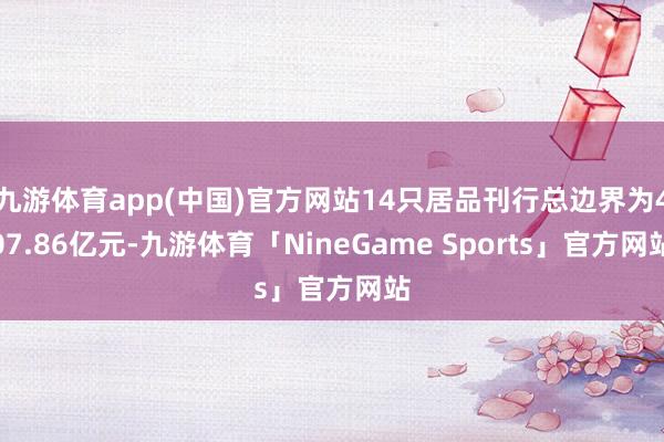 九游体育app(中国)官方网站14只居品刊行总边界为407.86亿元-九游体育「NineGame Sports」官方网站